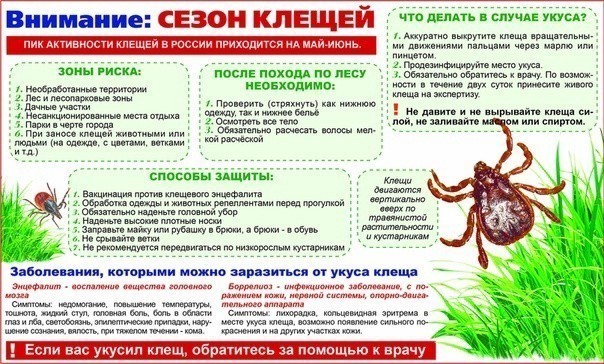 Осторожно – клещи! Памятка для детей и взрослых