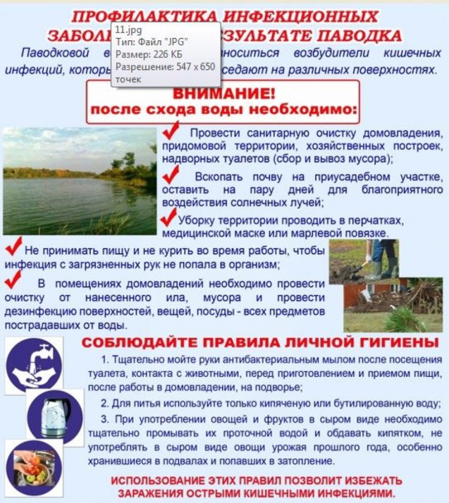 Рекомендации населению по проведению дезинфекции на территориях, подвергшихся подтоплению