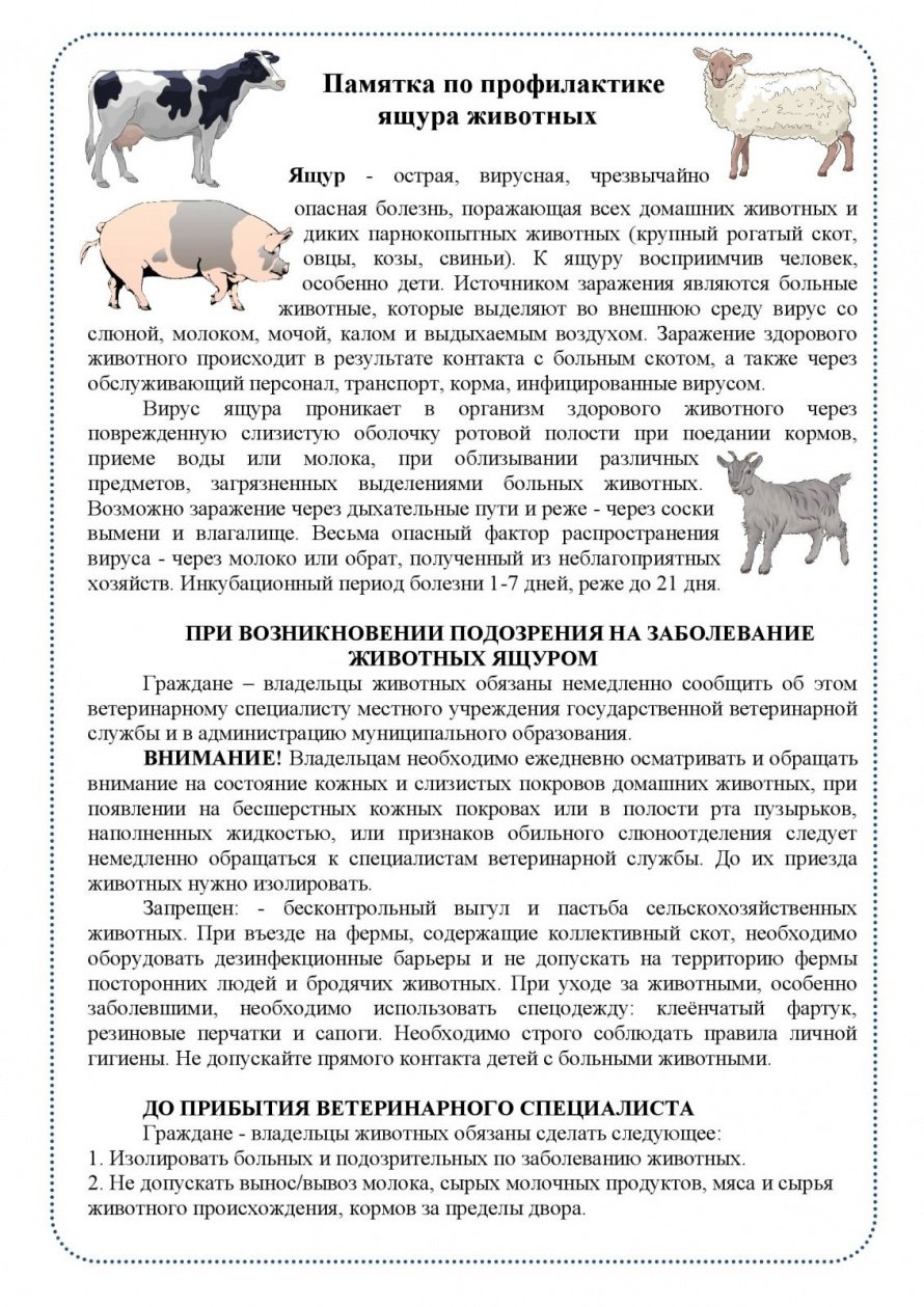Памятка по профилактике ящура животных
