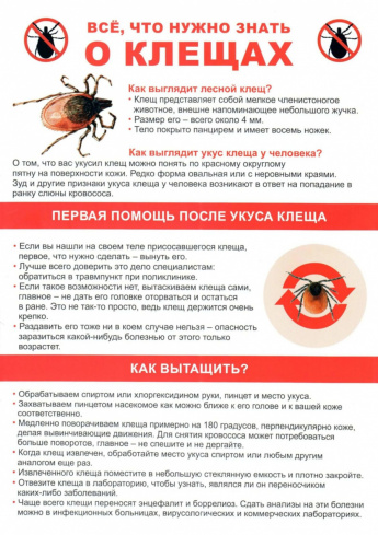 Осторожно клещи